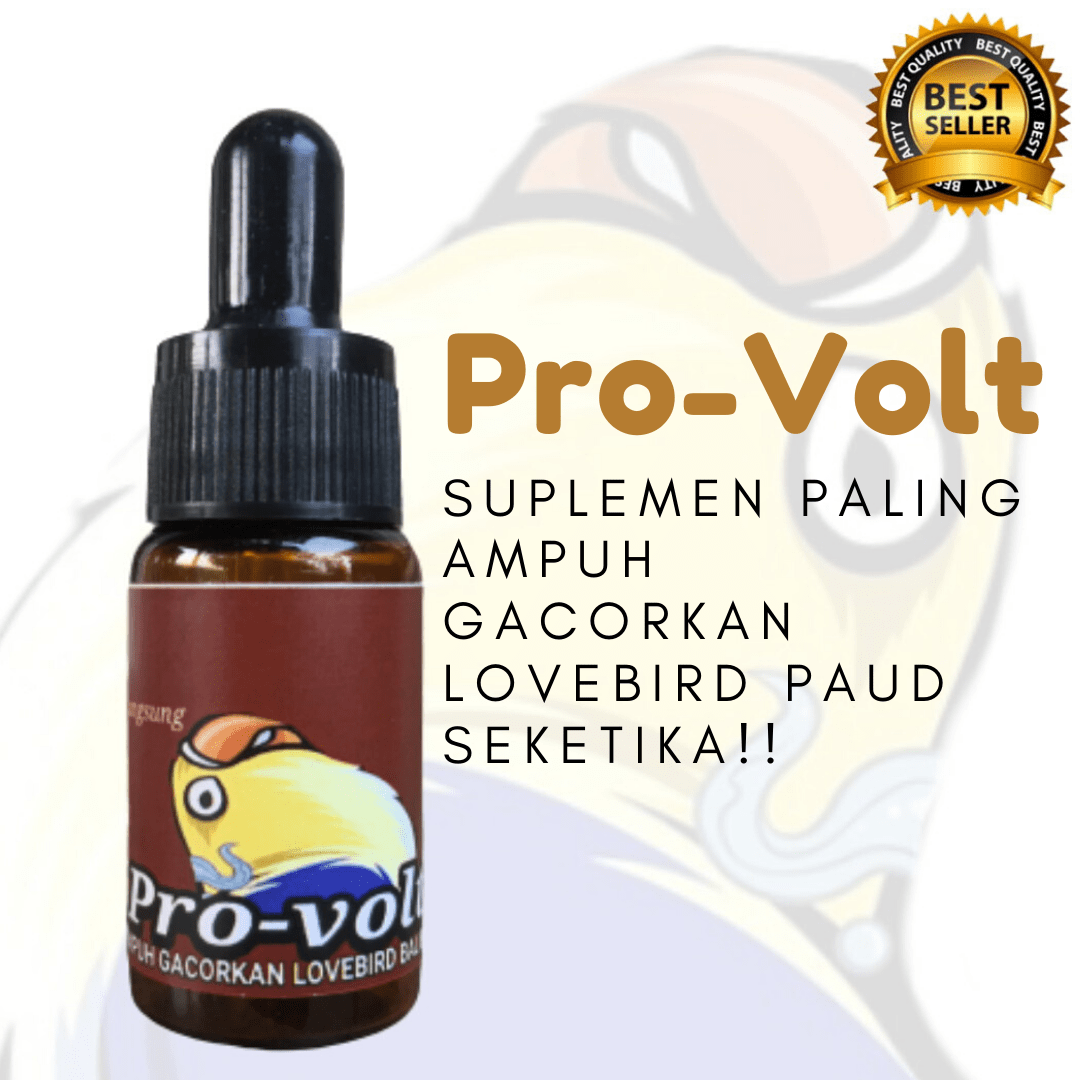 Vitamin penggacor lovebird paud paling ampuh